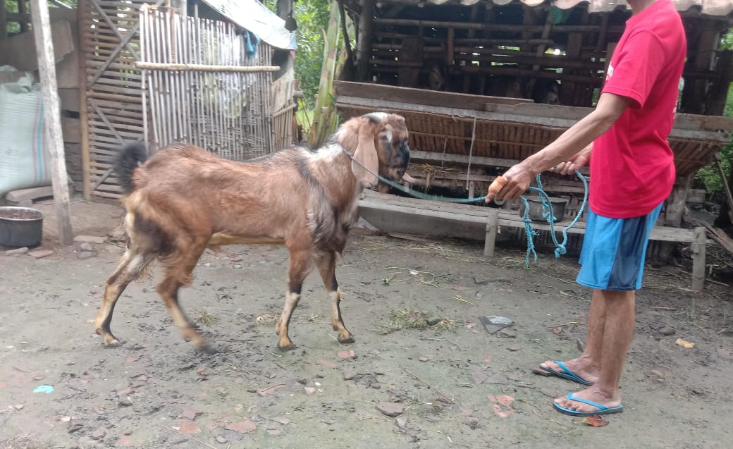 Strategi pengembangan pasar di desa sukosari untuk meningkatkan kesejahteraan masyarakat